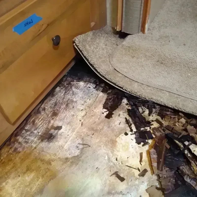 Wood Floor Water Damage in Lake Bluff, IL